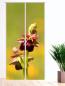 Preview: Wilde Orchidee, Schiebegardine, Schiebevorhang, Orchidee, Schiebevorhang 2teilig
